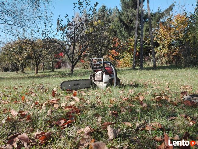 Usługi ogrodnicze piotrków trybunalski