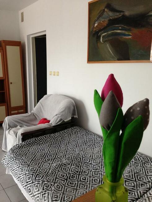 Ładne, przytulne pokoje - Płock, akademik