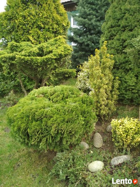 Usługi ogrodnicze, stolarskie.