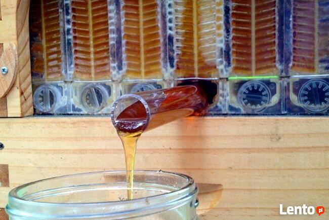 Pszczeli ula typu FLOW kompletna + varroa monitoring