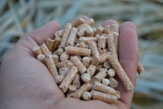 pellet drzewny brzozowy, pelet liściasty, certyfikat A1 plus