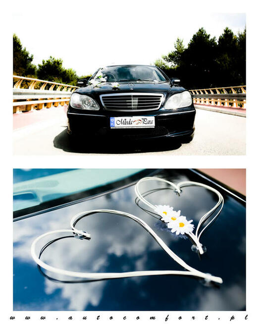 AUTOCOMFORT - TRANSPORT PASAŻERSKI