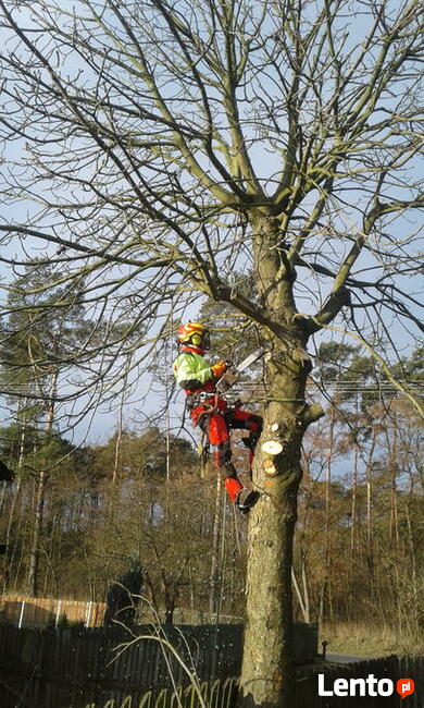 wycinka alpinistyczna