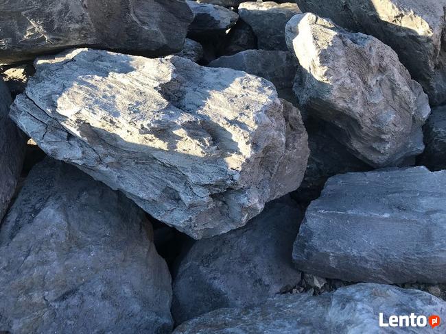 WAPIEŃ Filipiński Łupek Filitowy Drzewiasty Lawa WARSZAWA