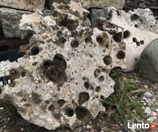 WAPIEŃ Filipiński Łupek Filitowy Drzewiasty Lawa WARSZAWA