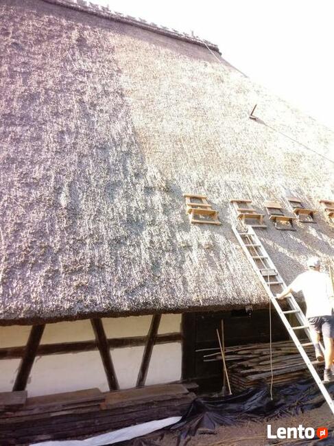 Remont renowacją dachów trzcinowych
