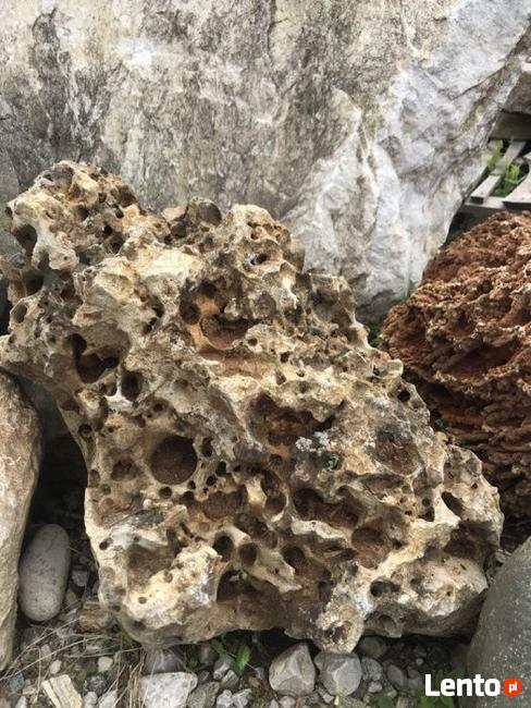 WAPIEŃ Filipiński Łupek Filitowy Drzewiasty Lawa WARSZAWA