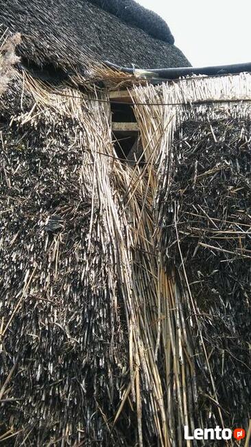 Remont renowacją dachów trzcinowych
