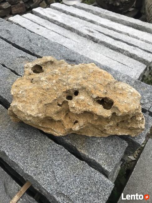 WAPIEŃ Filipiński Łupek Filitowy Drzewiasty Lawa WARSZAWA