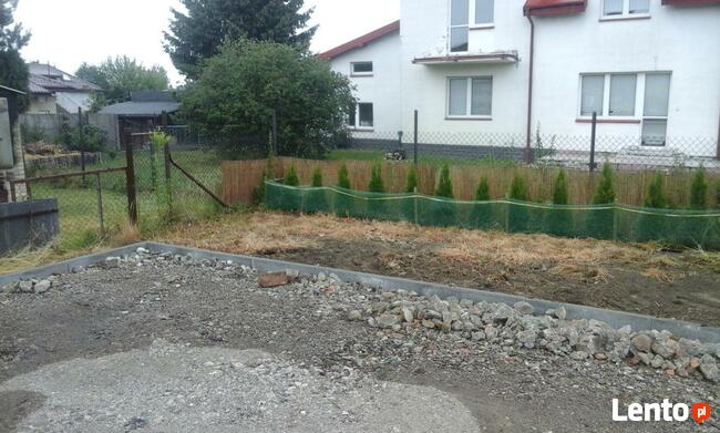 sadzenie roslin przesadzanie