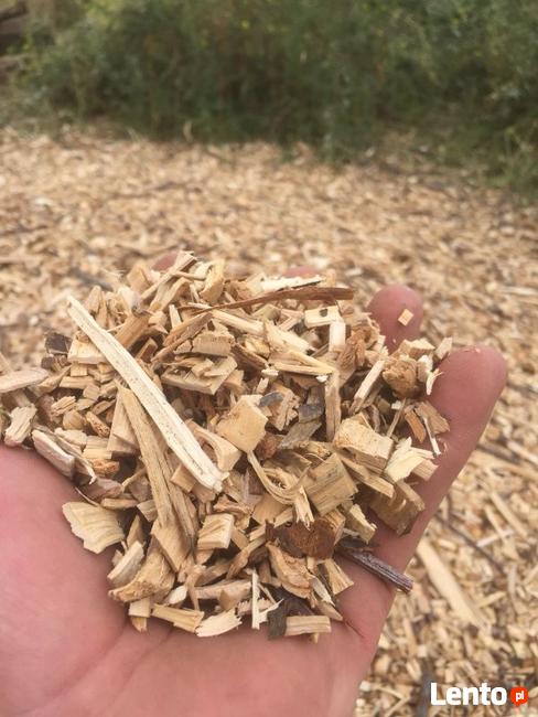 Wycinka drzew Mosina, Krosno, Rogalin, Puszczykowo, Borówiec