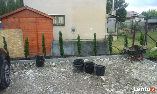 sadzenie roslin przesadzanie