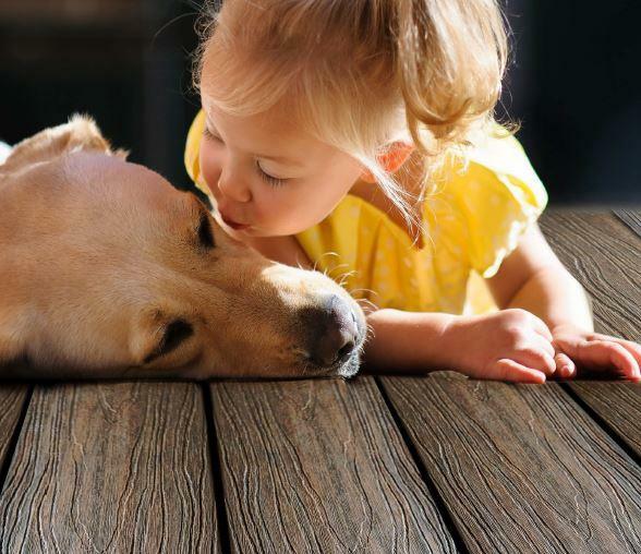 Deski tarasowe kompozytowe Taras kompozytowy Tarasy Warszawa