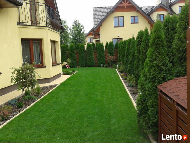 Wertykulacja trawnika, aeracja, pielęnacja trawnika Kraków