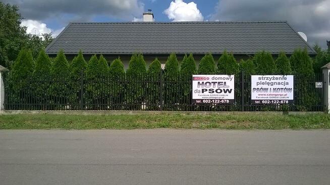 Strzyżenie psów i kotów Domowy Hotel dla zwierząt Kociarnia