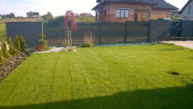 Wertykulacja trawnika, aeracja, pielęnacja trawnika Kraków