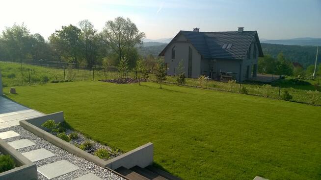 Wertykulacja trawnika, aeracja, pielęnacja trawnika Kraków