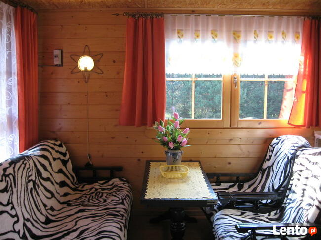 Wypoczynek w Borach Tucholskich