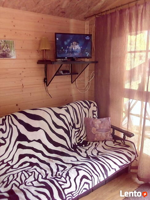 Wypoczynek w Borach Tucholskich