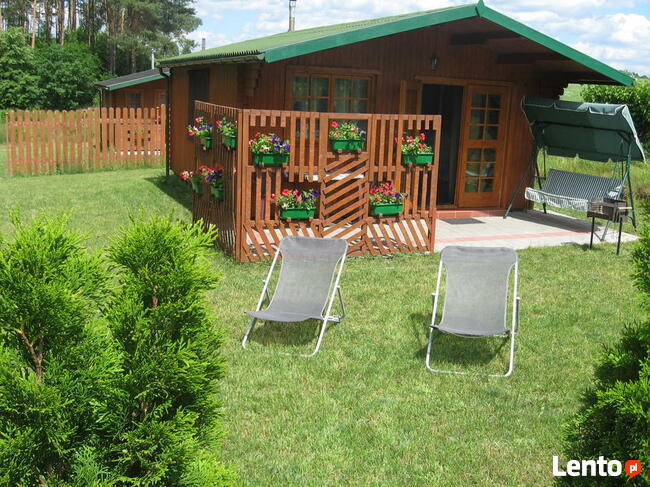 Wypoczynek w Borach Tucholskich