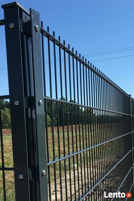 WYKOP STAW NIWELACJA