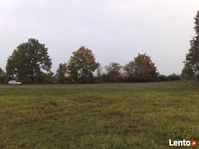 Działka budowlana Gutowo/ Zarośla Cienkie pow.toruński