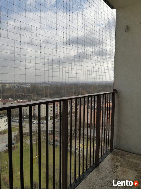 Siatka balkonowa dla kota. Montaż.