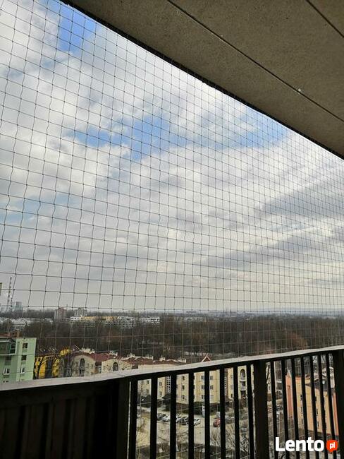 Siatka balkonowa dla kota. Montaż.