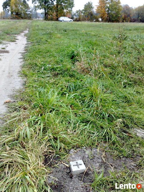 Działka budowlana Gutowo/ Zarośla Cienkie pow.toruński