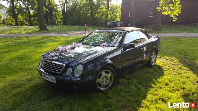 WESELA, BANKIETY, KAWALERSKIE, OKAZJE, SPOTKANIA, WYJAZDY