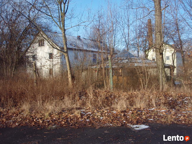 Sprzedam działkę 1,39ha, zabudowaną ,użytkowanie wieczyste.