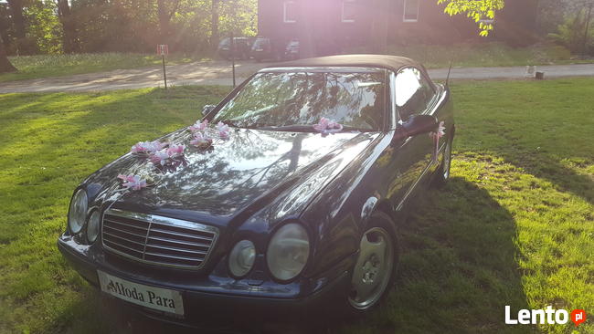 WESELA, BANKIETY, KAWALERSKIE, OKAZJE, SPOTKANIA, WYJAZDY