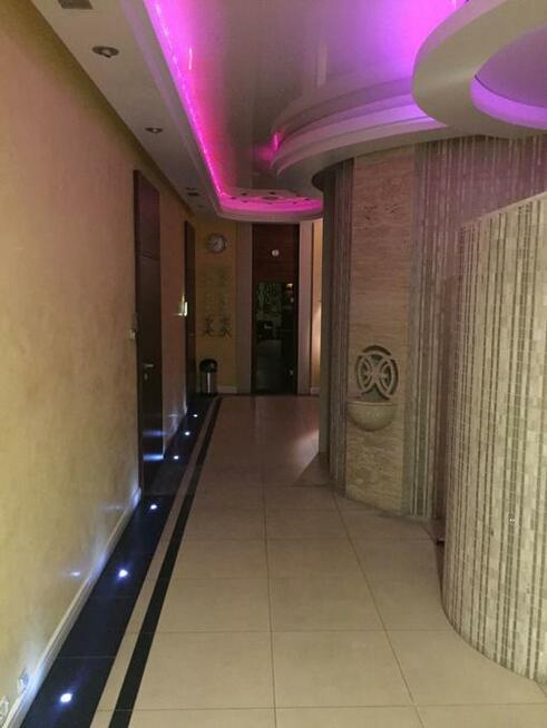 MALBUD - Kompleksowe wykończenia wnętrz