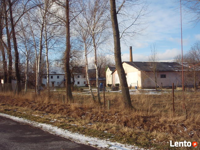 Sprzedam działkę 1,39ha, zabudowaną ,użytkowanie wieczyste.