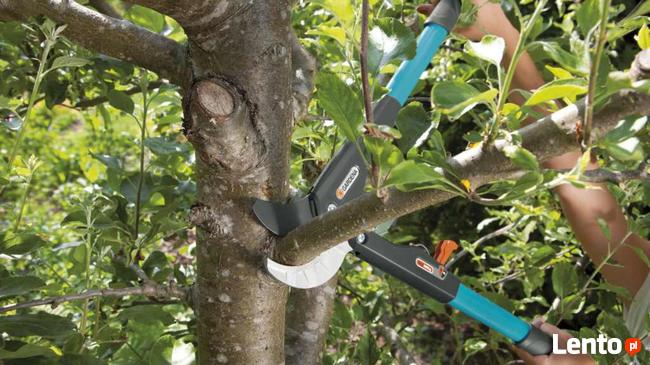 Modernizacje Terenów, Demontaże. Rozbiórki Małe.Kompleksowo.