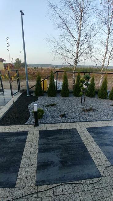 Zakładanie trawnika z siewu, rolki ,Budowa ogrodu