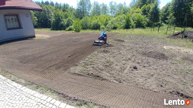 Zakładanie trawnika z siewu, rolki ,Budowa ogrodu