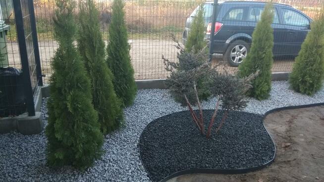 Zakładanie trawnika z siewu, rolki ,Budowa ogrodu