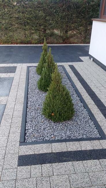 Zakładanie trawnika z siewu, rolki ,Budowa ogrodu