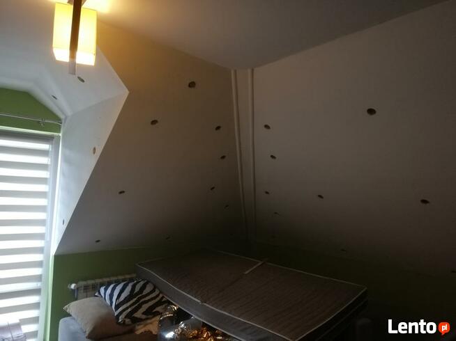 Docieplanie poddasza CELULOZA Kamera termowizyjna GRATIS