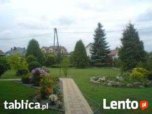 Ogrodnik pełen zakres usług oraz brukarstwo.