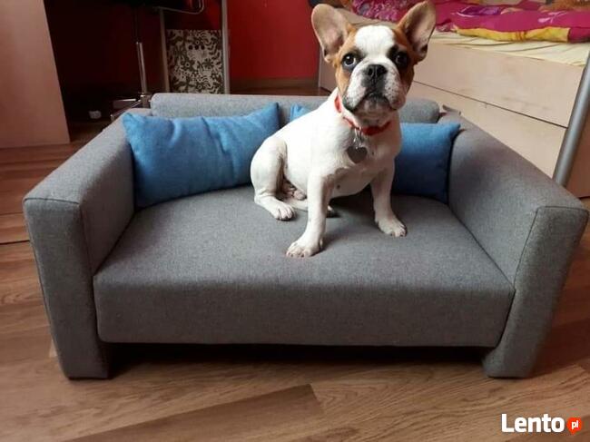 Legowisko sofa dla każdego psa