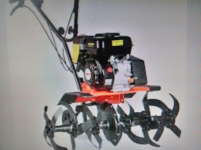 Ogrodnik pełen zakres usług oraz brukarstwo.