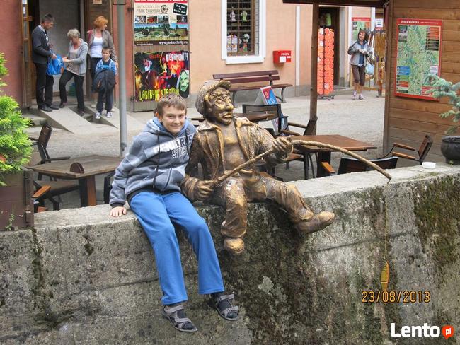 Poszukuję dziewczyny