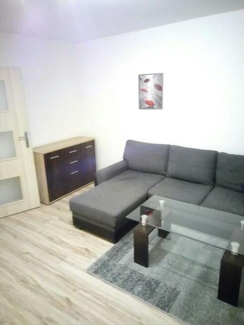 wynajmę kawalerkę nad Potokiem