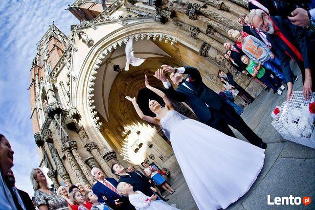 Białe gołębie ślub