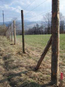 Ogrodzenia tymczasowe z siatki leśnej ogrodzeniea budowlane