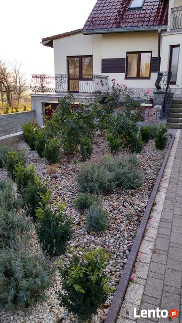 PROJEKTOWANIE, aranżacje, PIELĘGNACJA wykonywanie OGRODÓW