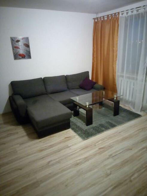 wynajmę kawalerkę nad Potokiem