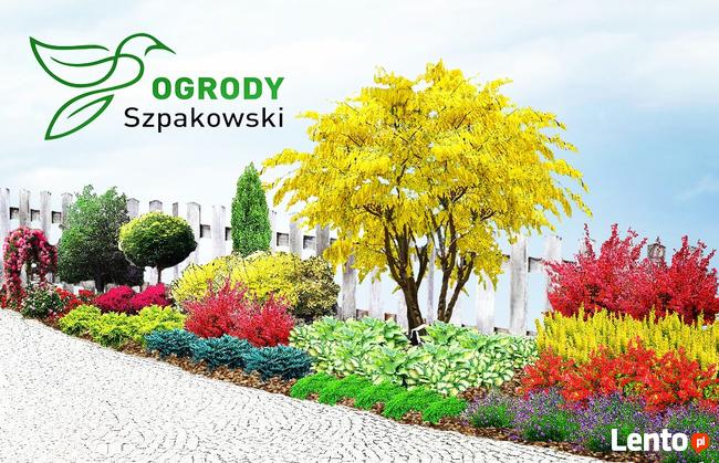 ZAKŁADANIE I PIELĘGNACJA OGRODÓW Ogrody SZPAKOWSKI 502138859